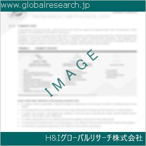 グローバルリサーチ調査資料のイメージ